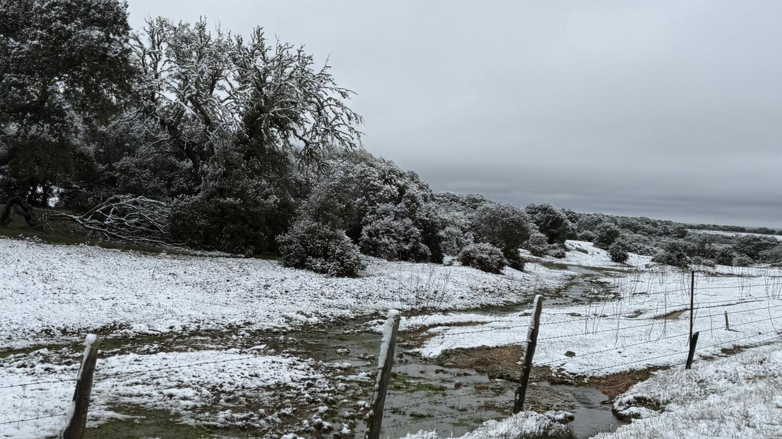Nieve en Cuatro Calzadas, Pereña y Guijuelo este sábado
