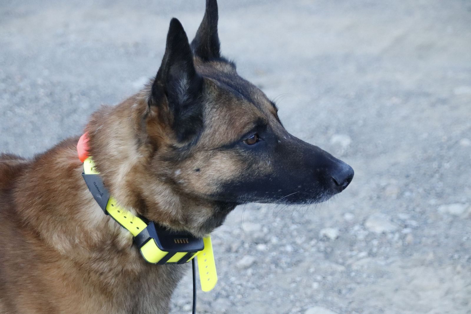 20230105095154-mg-9631