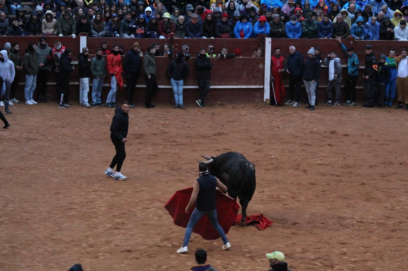 ambiente-y-capea-vespertina-sabado-de-carnaval-en-ciudad-rodrigo-2025-fotos-belen-hurtado-32