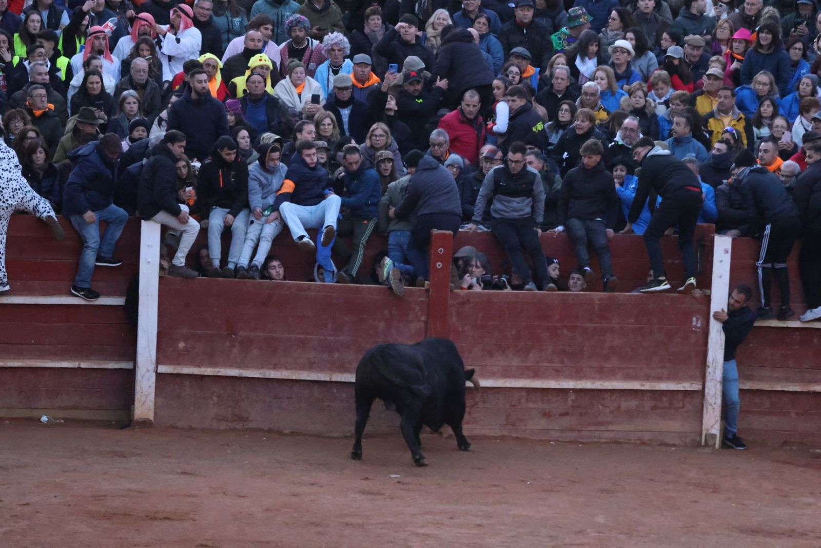 Capea de Sábado tarde en el Carnaval del Toro de Ciudad Rodrigo