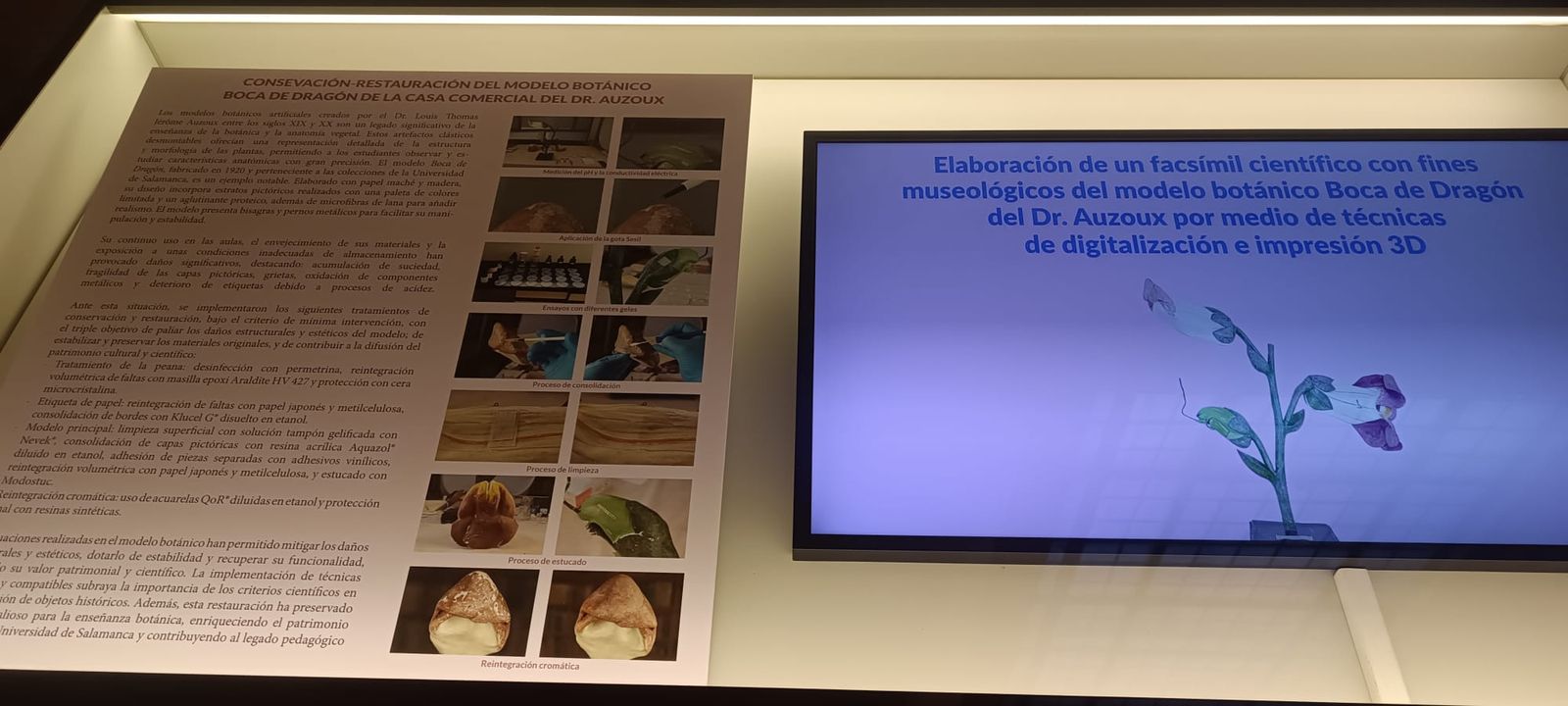 exposicion-botanica-6