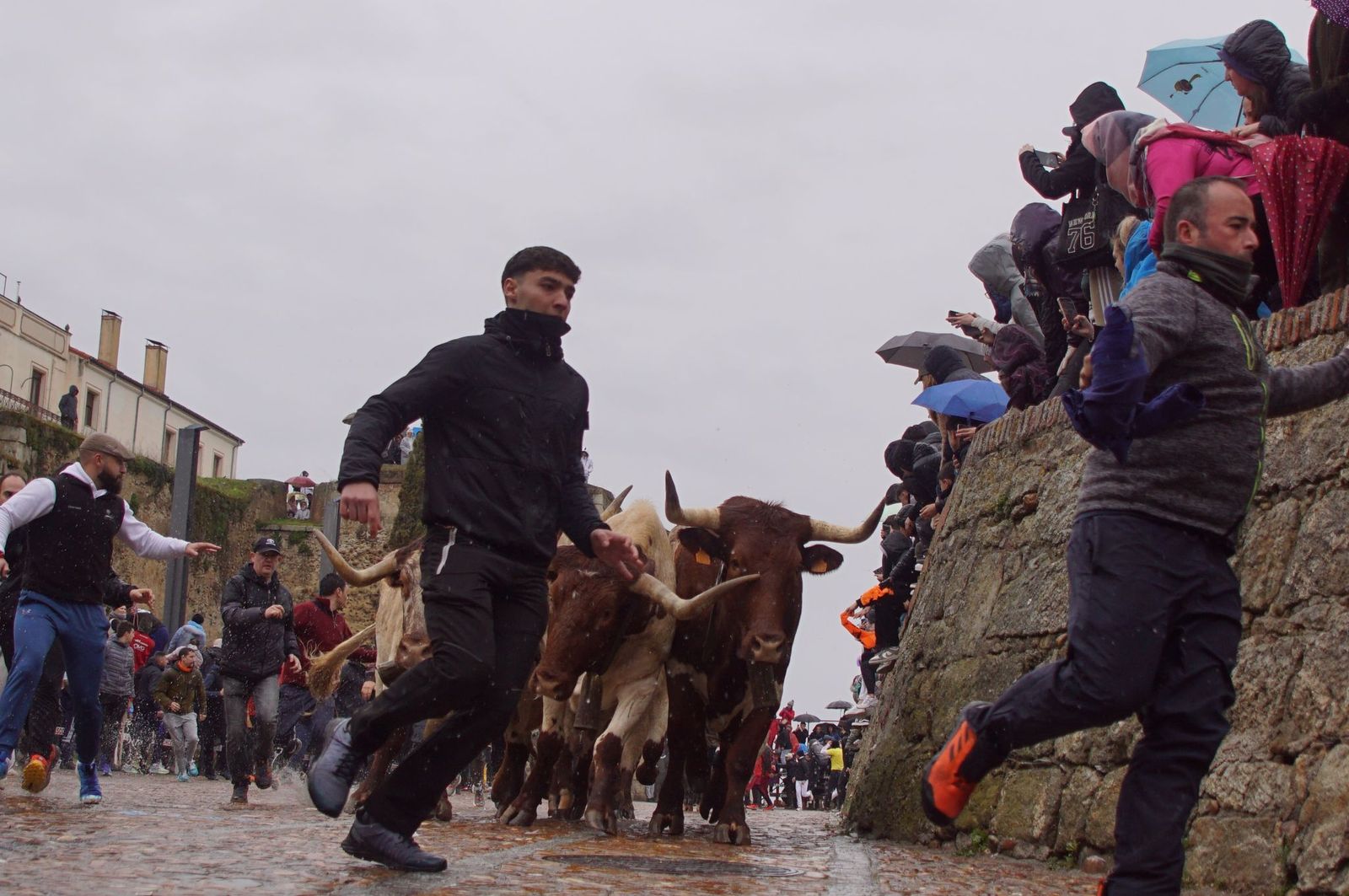 whatsapp-image-2025-03-03-at-14-51-25-4