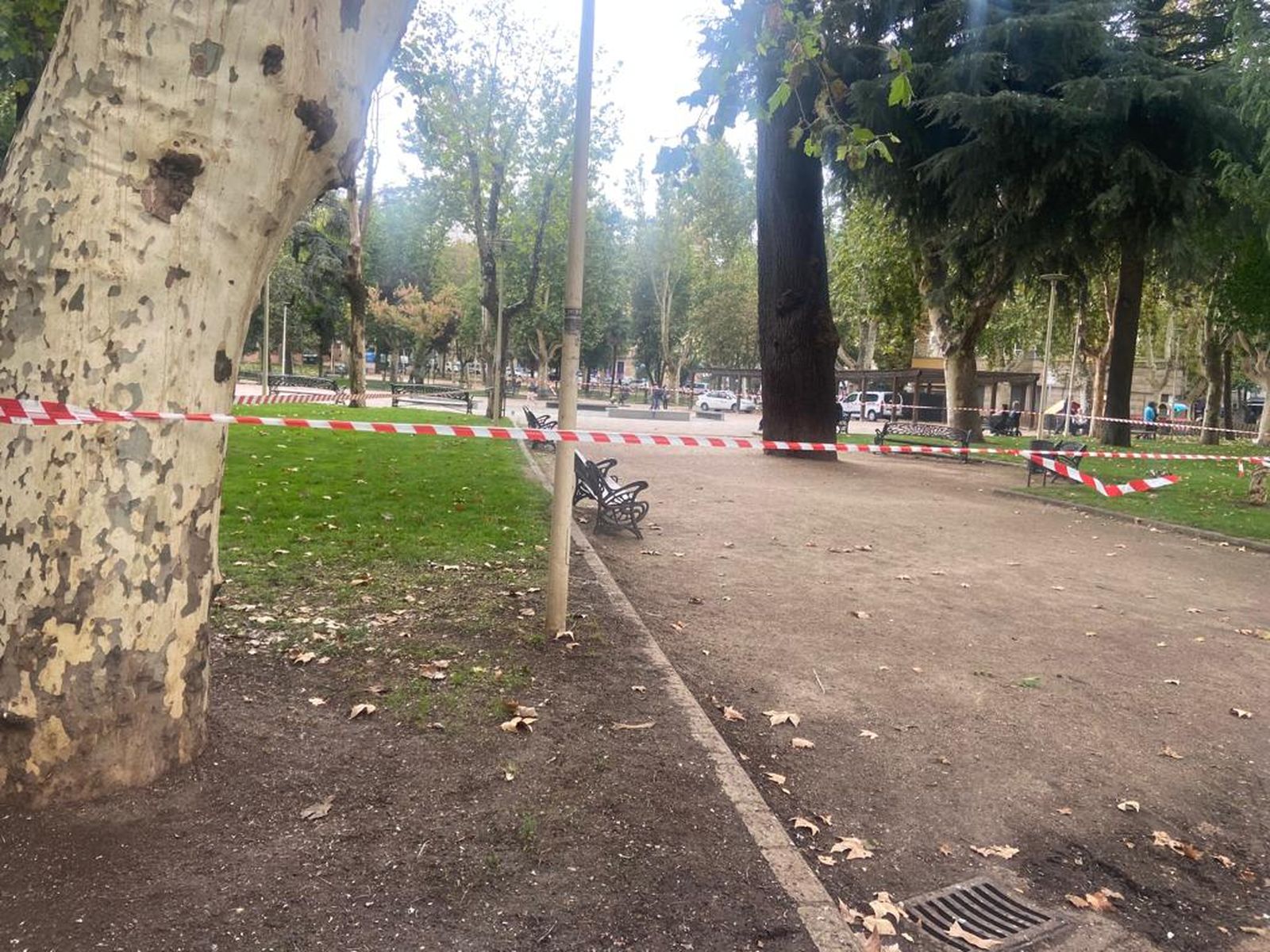 Parque de La Alamedilla cerrado por riesgo de rachas de viento