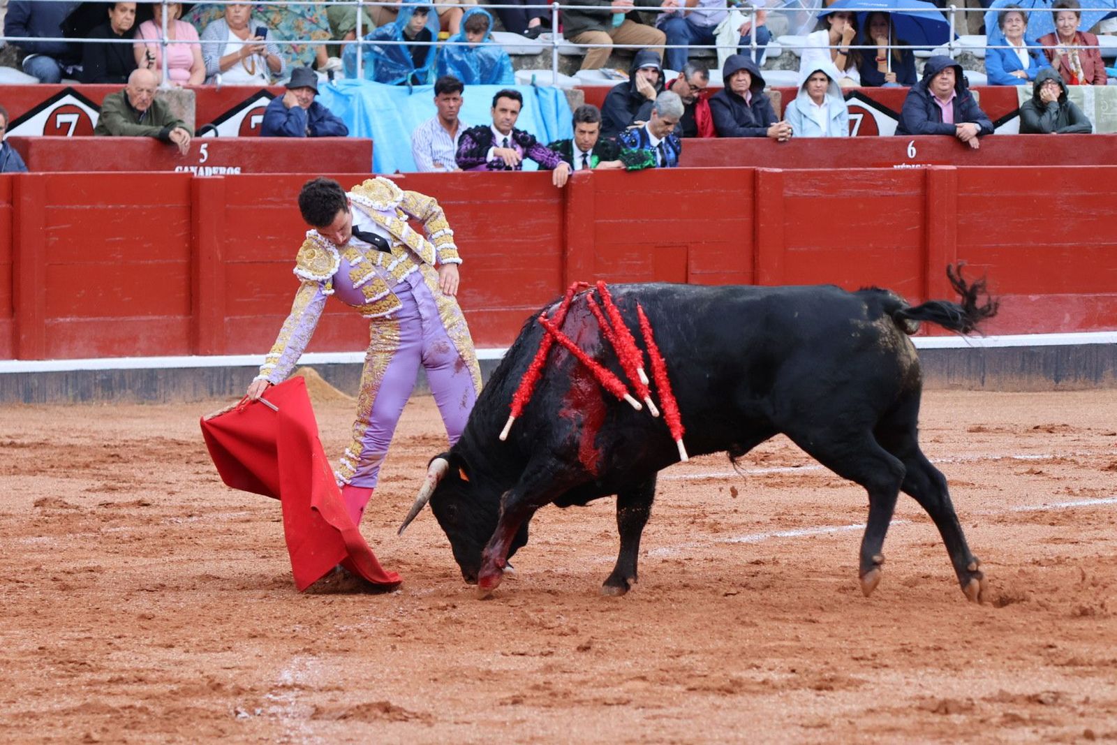 20230915172249-img-3910