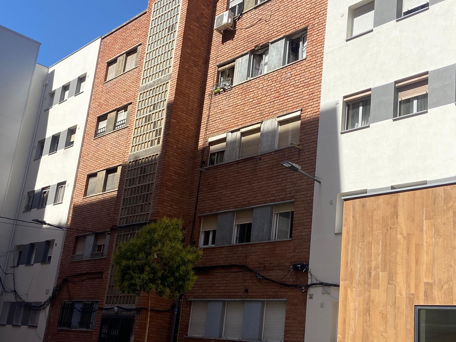 Okupas de la calle Crisantemos