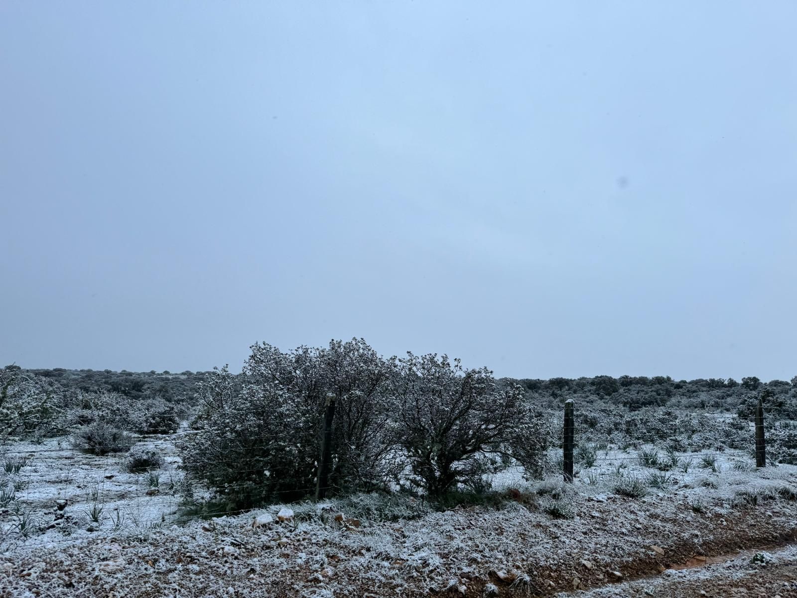 Pedrosillo de los Aires
