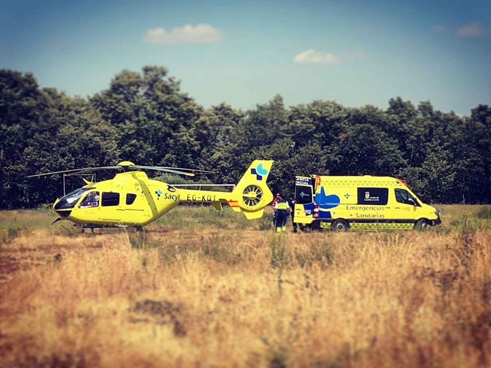 67314651 2333384480048956 3632406502544769024 n