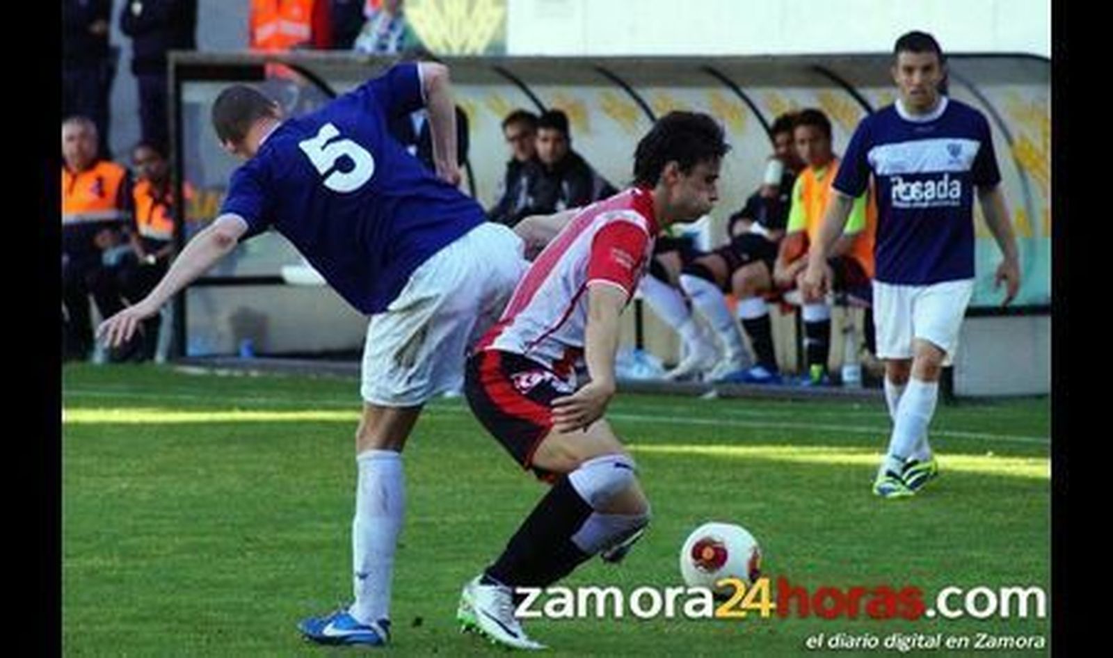 ZCF - Marino (juego)