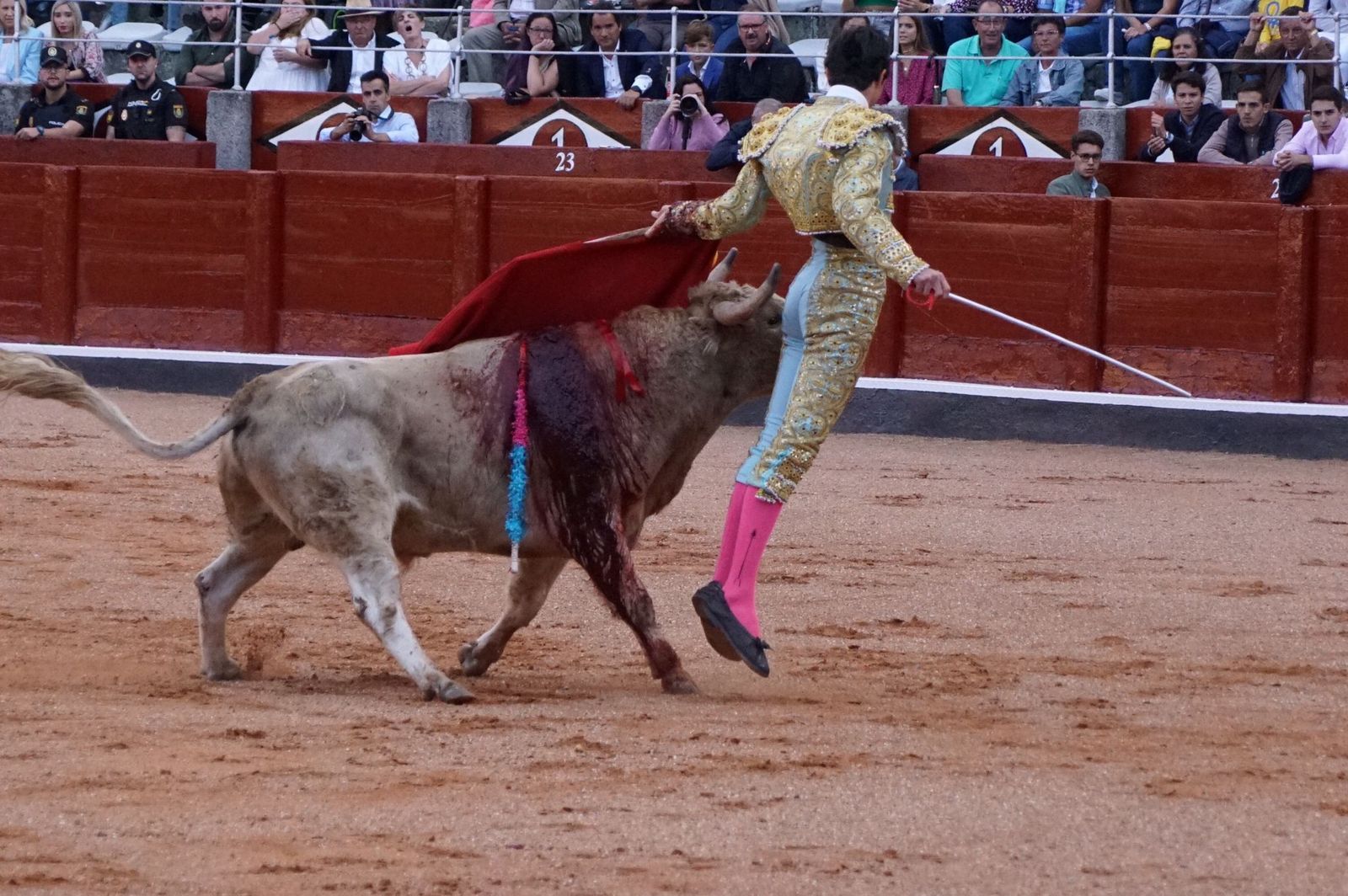 whatsapp-image-2022-09-08-at-9-20-34-pm