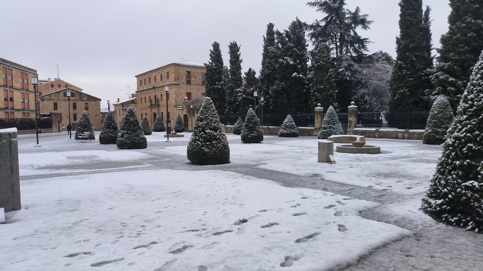 La nieve anega carreteras y tiñe de blanco Salamanca capital y provincia: imágenes de la nevada de este 28 de enero