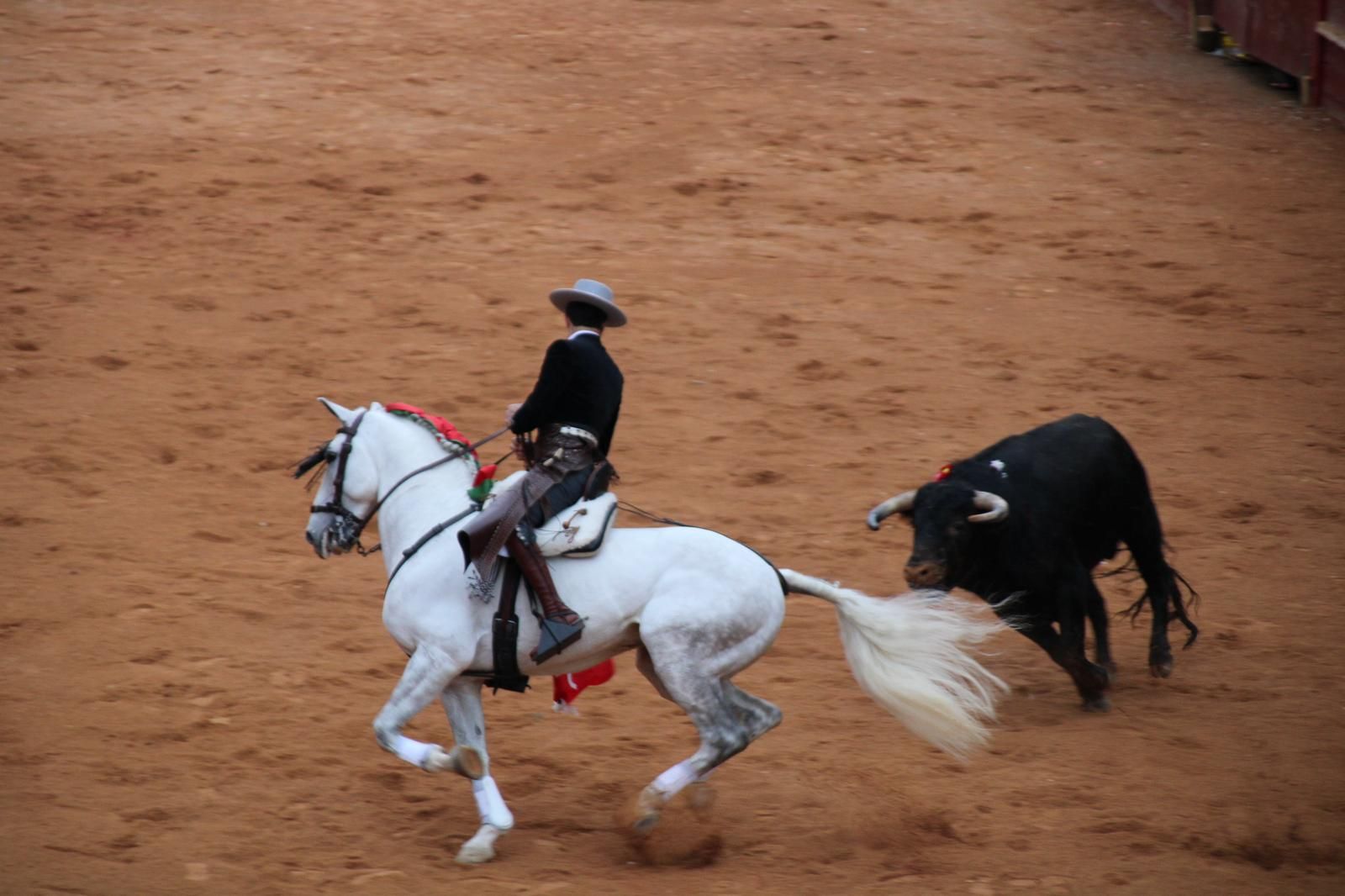 whatsapp-image-2025-03-02-at-18-55-52-1