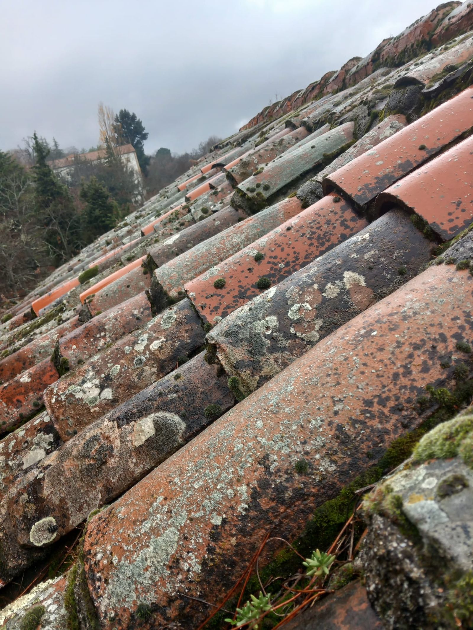 Plaza de Toros La Ancianita de Béjar  (20).jpeg