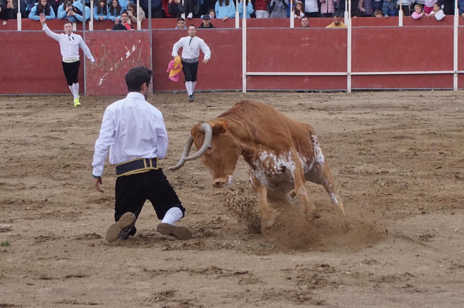 whatsapp-image-2023-05-22-at-20-19-12-1