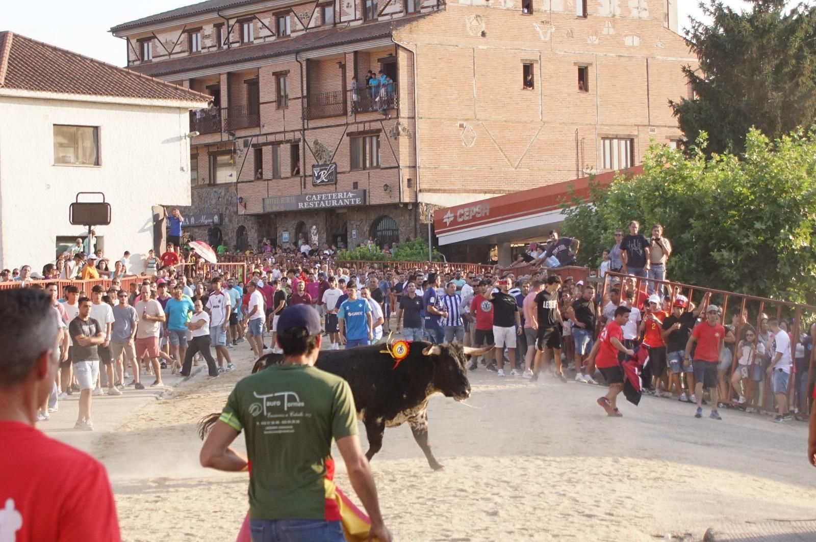 Pasión, tradición y calle: así se ha vivido en Ledesma el II Toro de Cajón