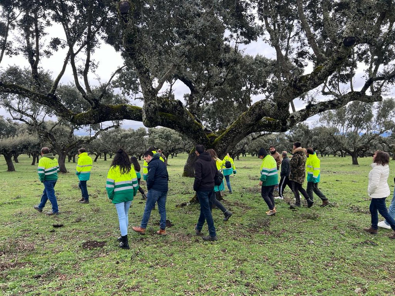Tercera y última de las Jornadas Técnicas 'Dehesas con futuro' (1)