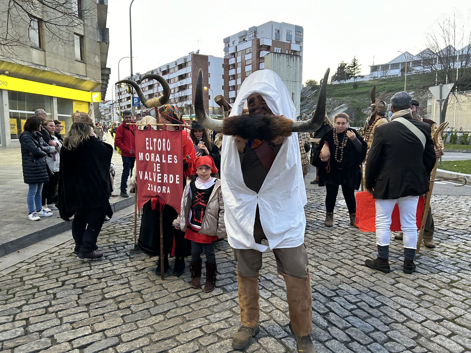 Toro de Carnaval de Morales de Valverde
