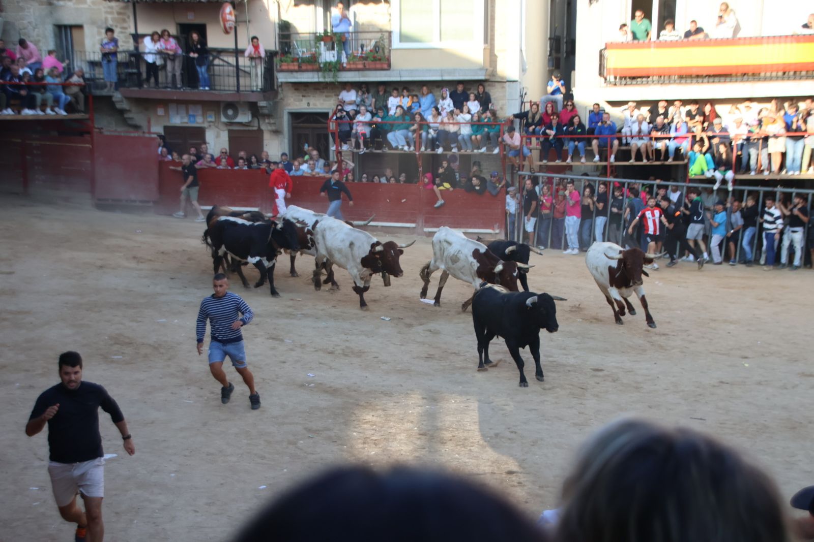 Encierro en Aldeadávila