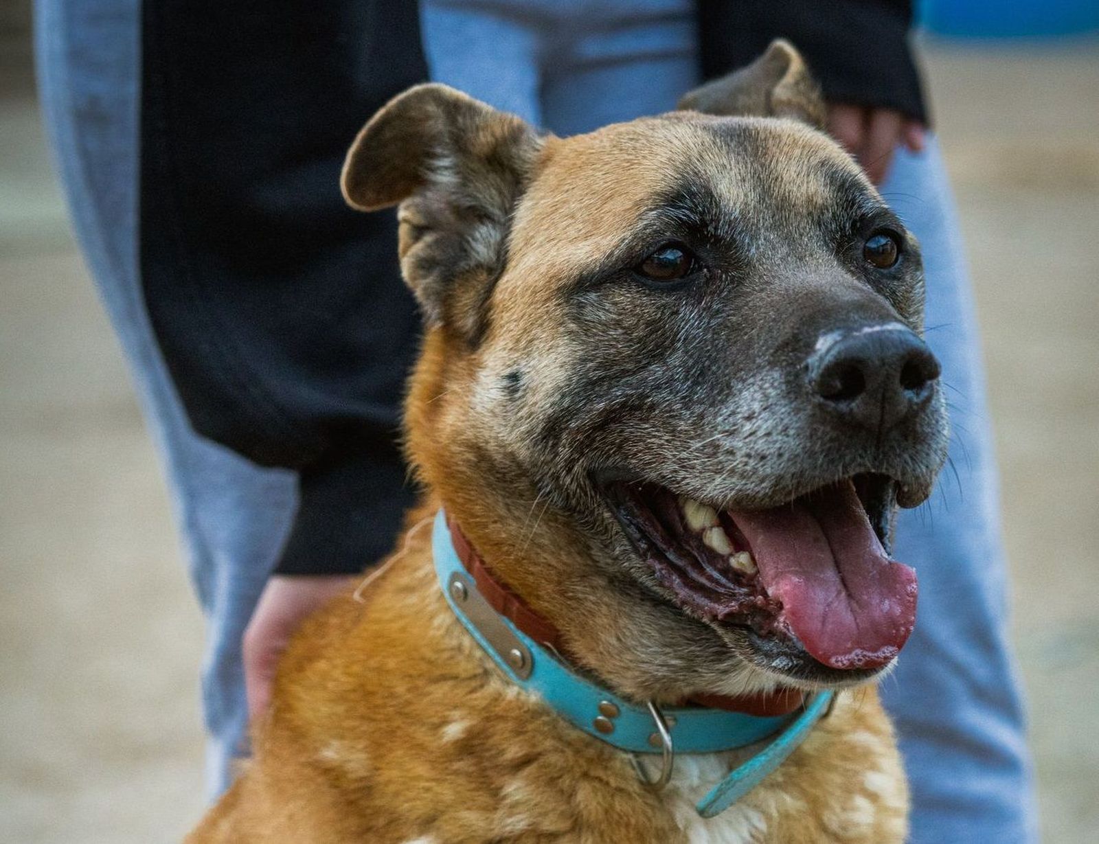 Imagen de WhatsApp 2025 03 14 a las 09.59.21 fa07b5db