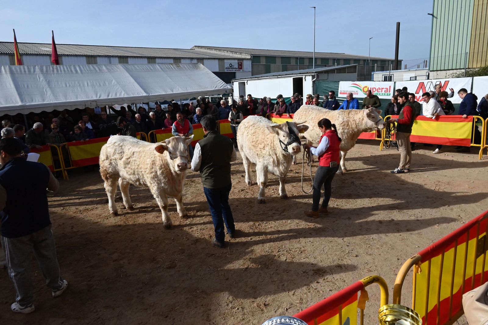 Ciudad Rodrigo Feria San Andrés 2024