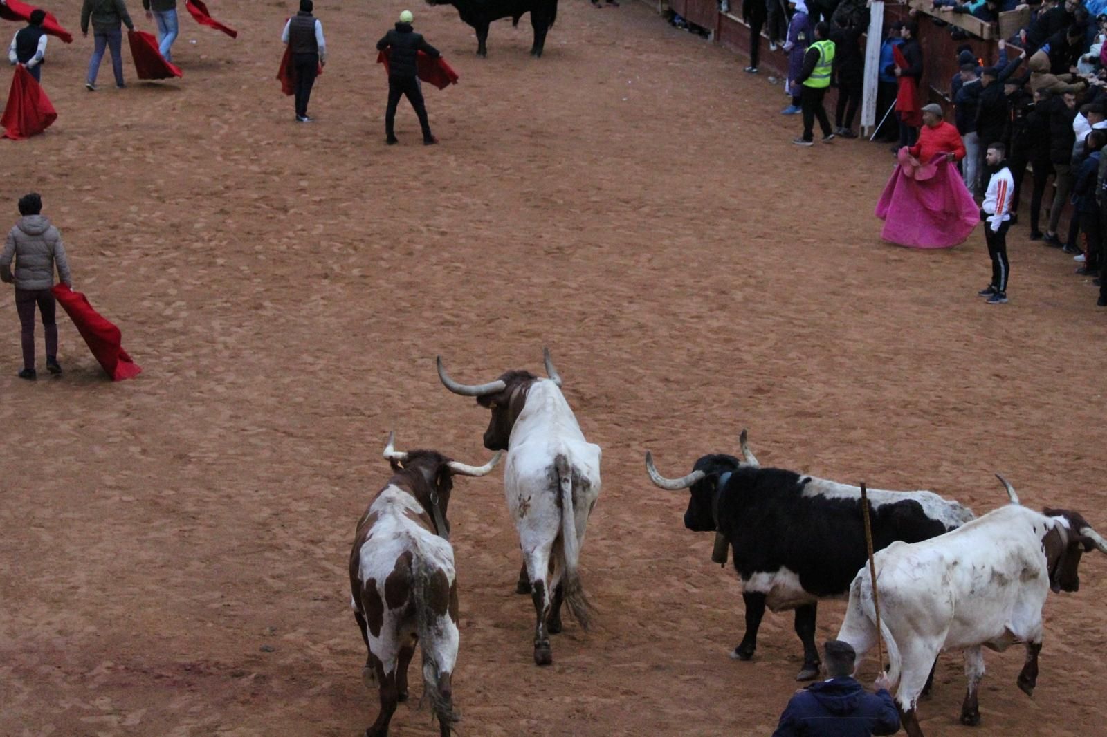 ambiente-y-capea-vespertina-sabado-de-carnaval-en-ciudad-rodrigo-2025-fotos-belen-hurtado-17