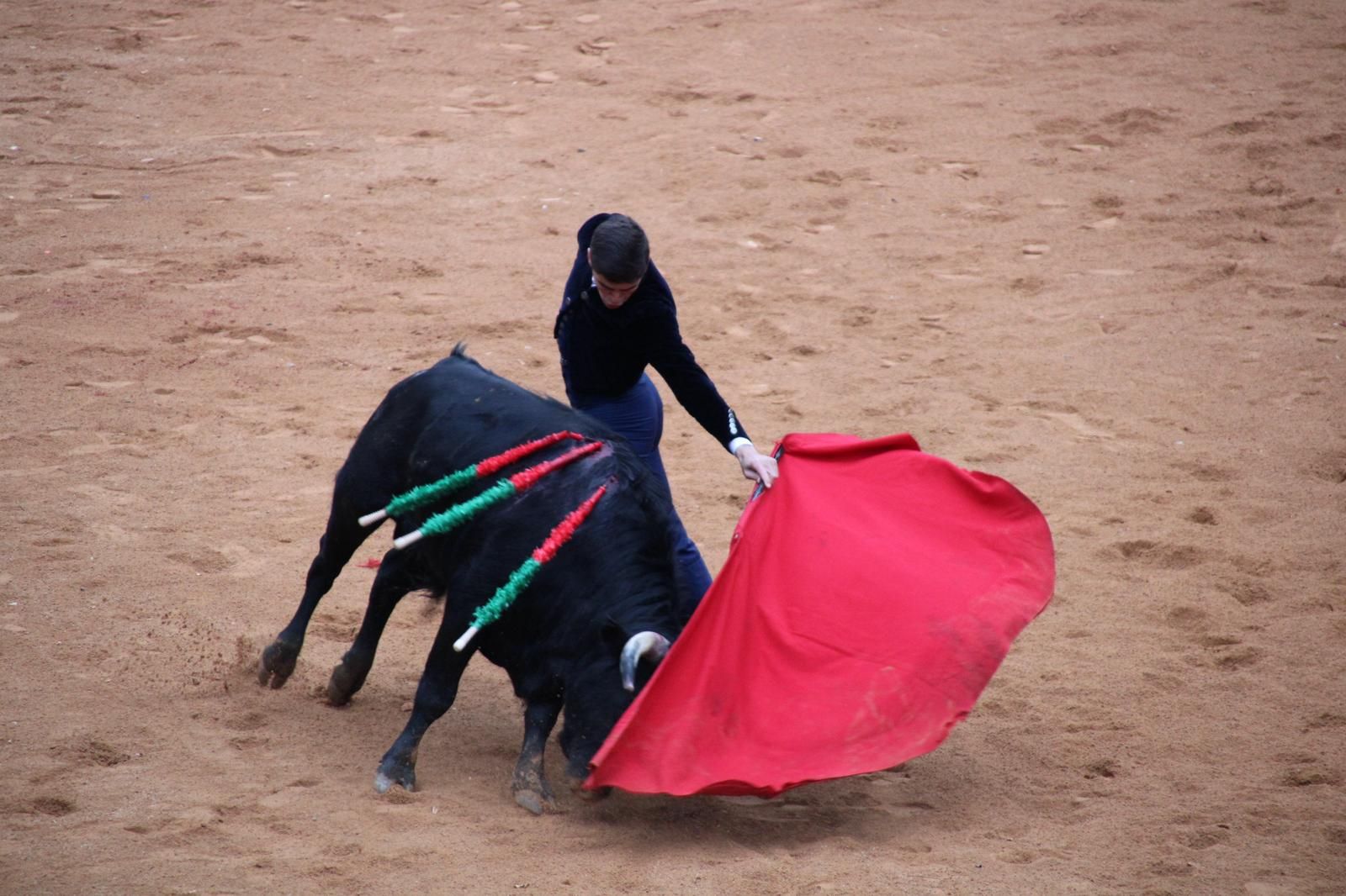 whatsapp-image-2025-03-02-at-18-55-31