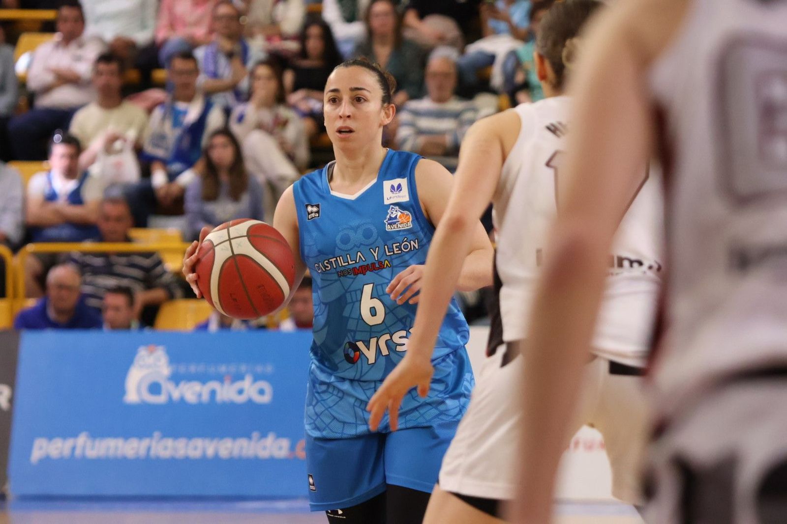 20240420182537-img-0241