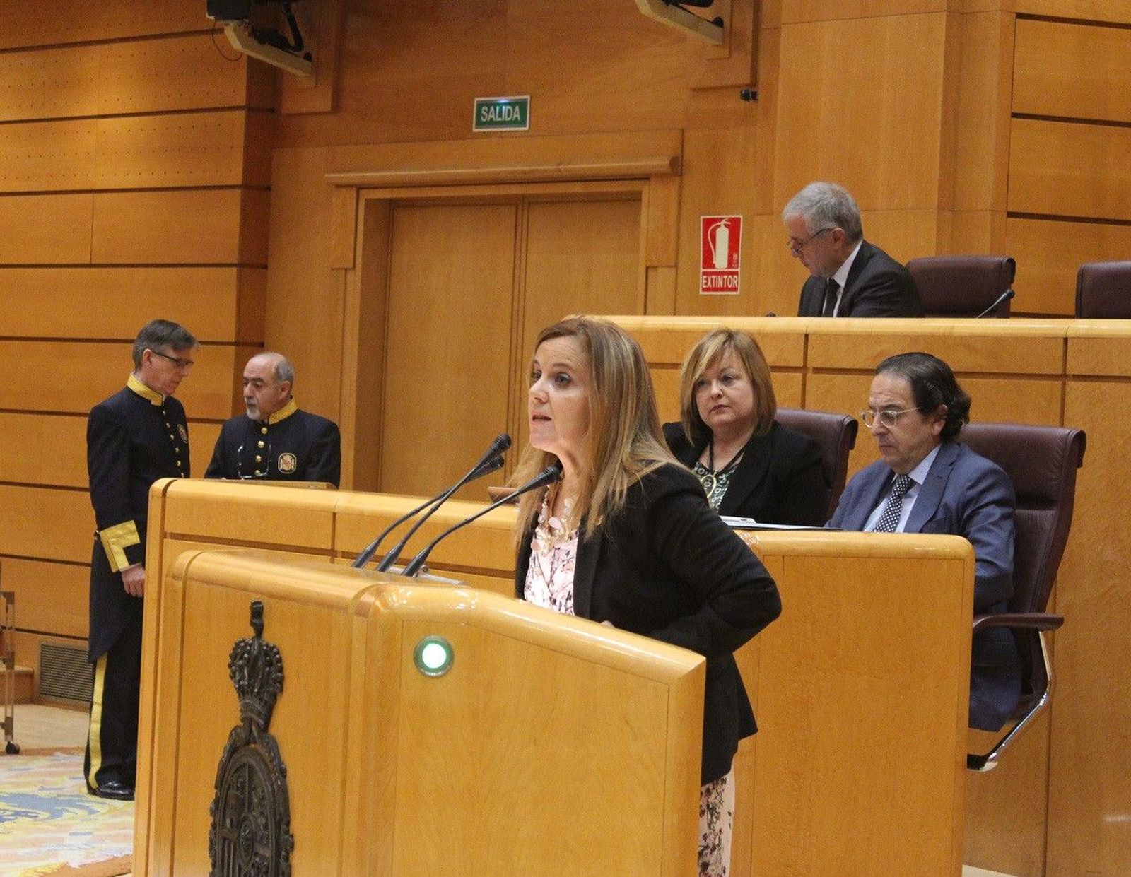 Esther del Brío Senado