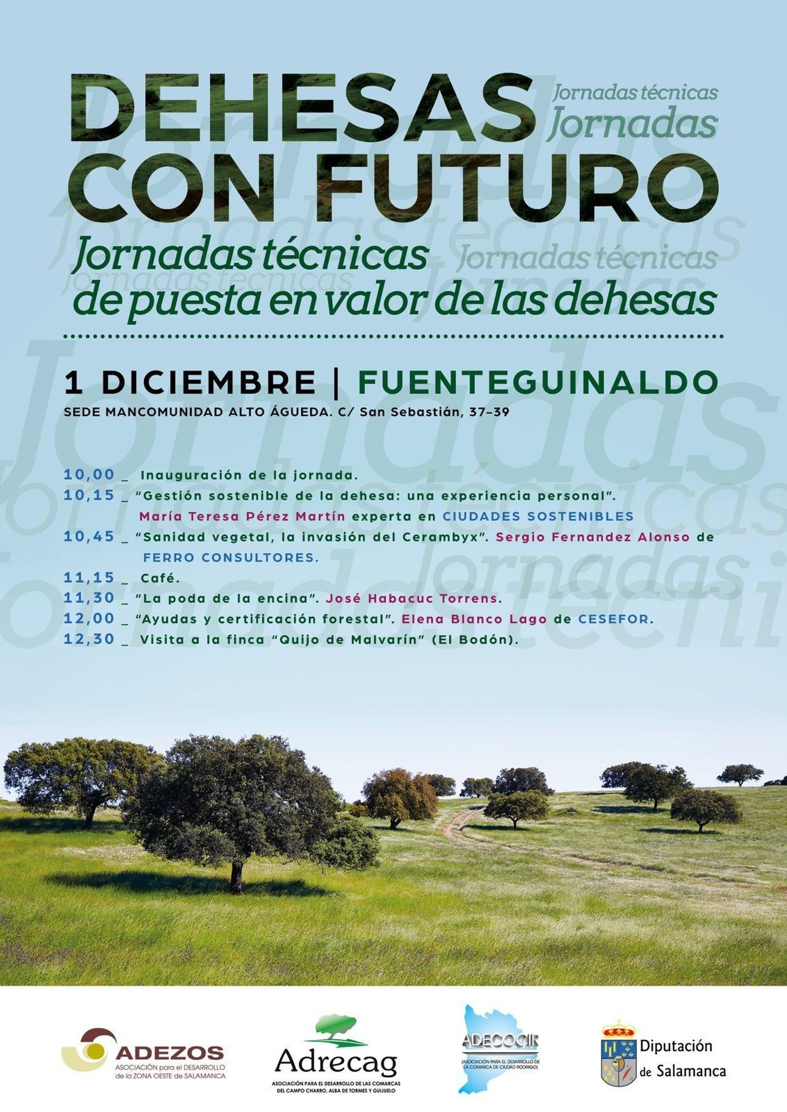 PHOTO 2023 11 28 13 10 41