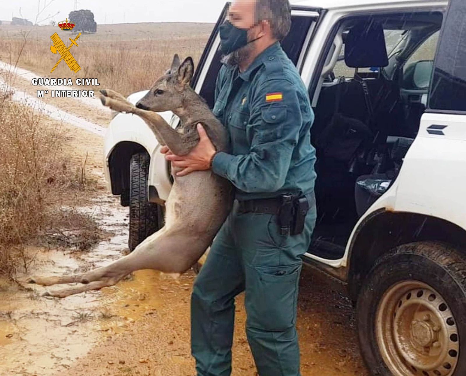 20201022 Recuperación Corzo.