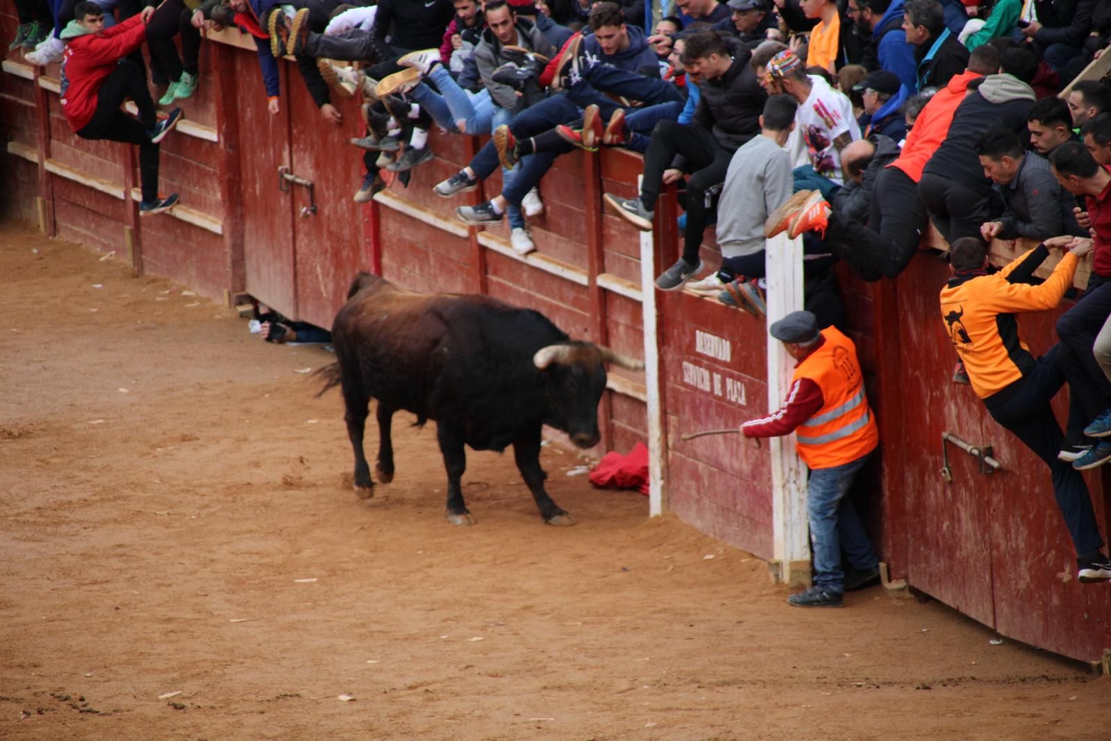 capea-matutina-del-martes-de-carnaval-22