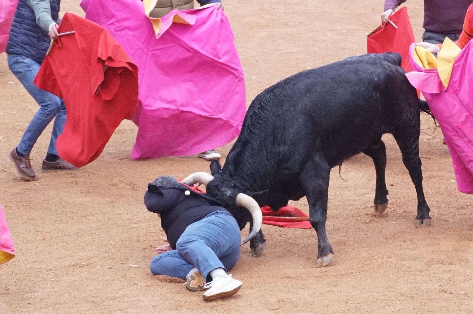 Capea matinal de domingo de carnaval en Ciudad Rodrigo (43).jpeg
