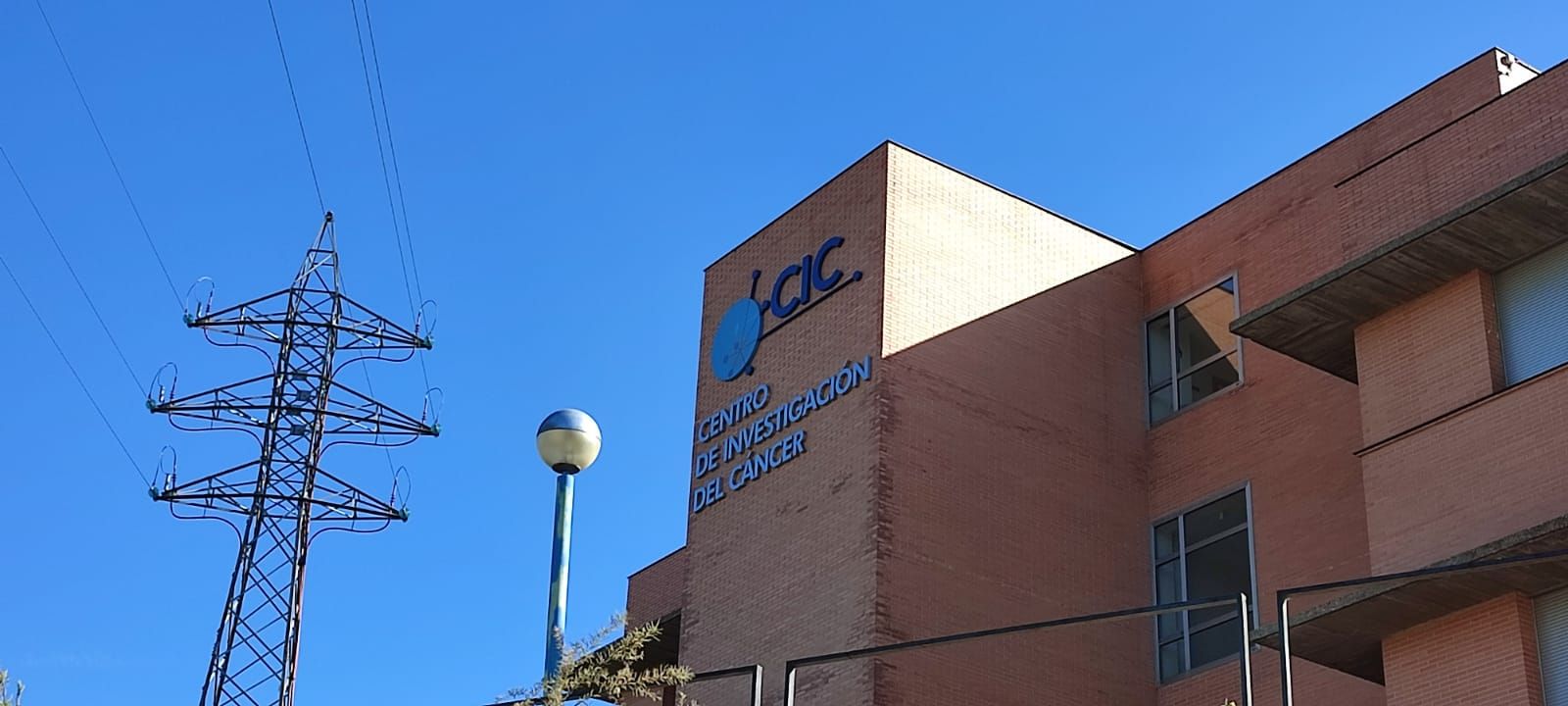 Centro de Investigación del Cáncer (CIC). Universidad de Salamanca. Archivo(2)