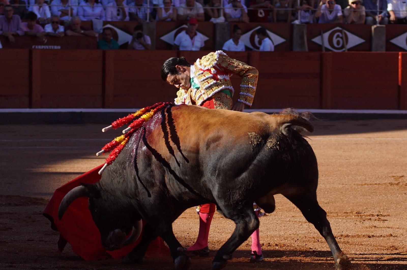 Emilio de Justo, Juan Ortega y Roca Rey inauguran el cartel de figuras en la feria de Salamanca: la corrida de Garcigrande en imágenes