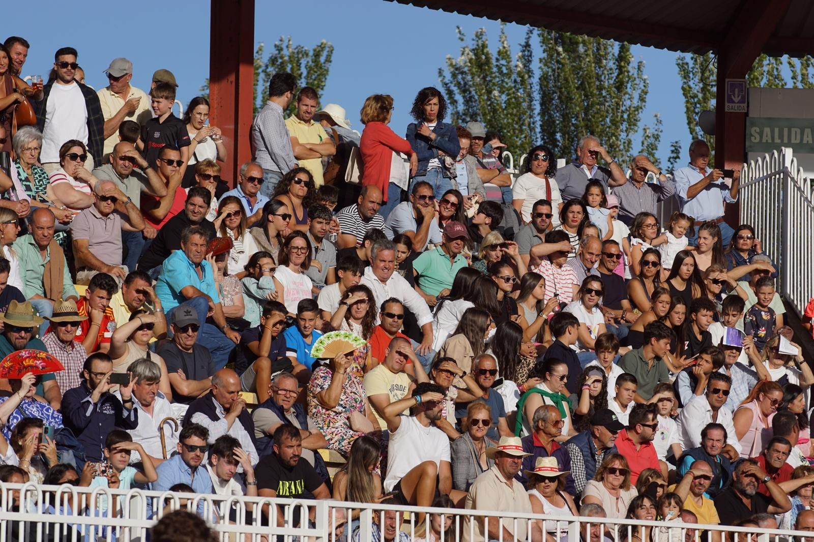 whatsapp-image-2024-09-06-at-20-53-39-1