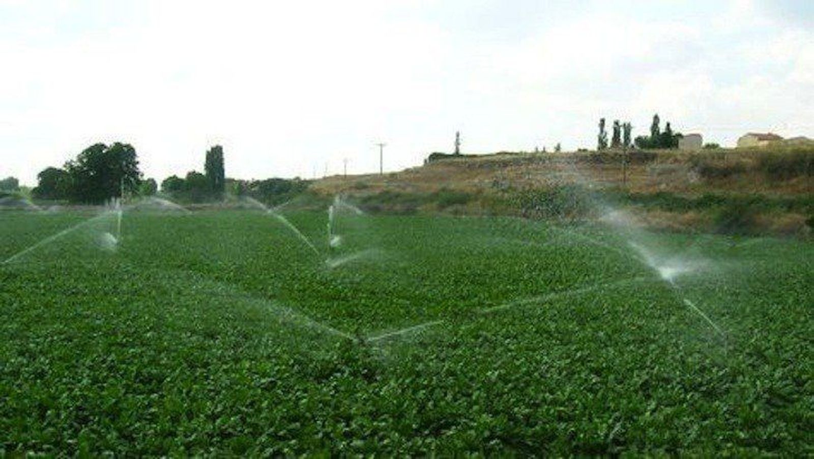 El regadío, un elemento esencial para el desarrollo rural sostenible