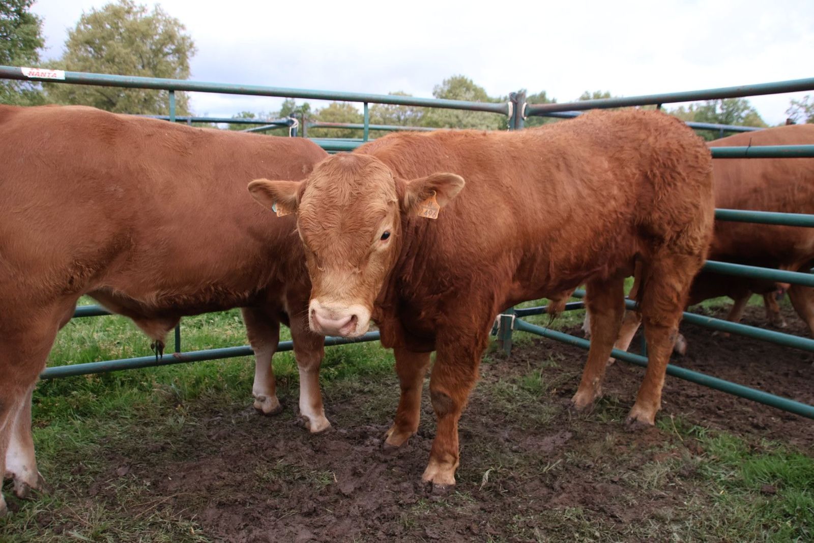 20240501104622-img-2977