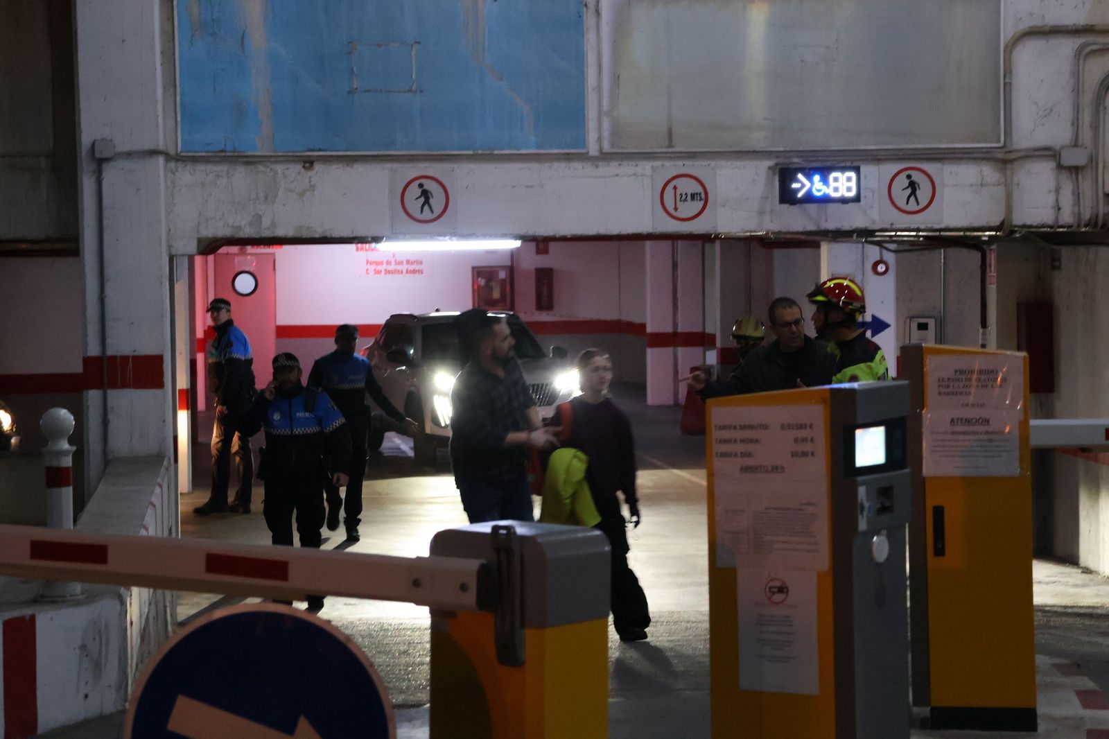 Rescate del ciervo en el Parking de San Martín (20).JPG