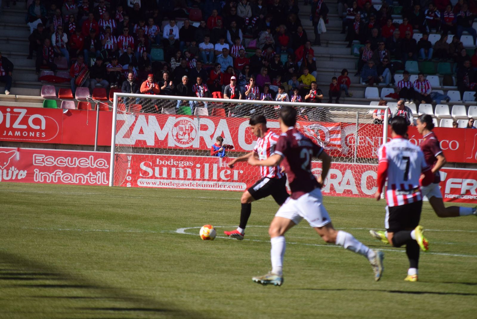 Zamora CF - Pontevedra CF (45).JPG