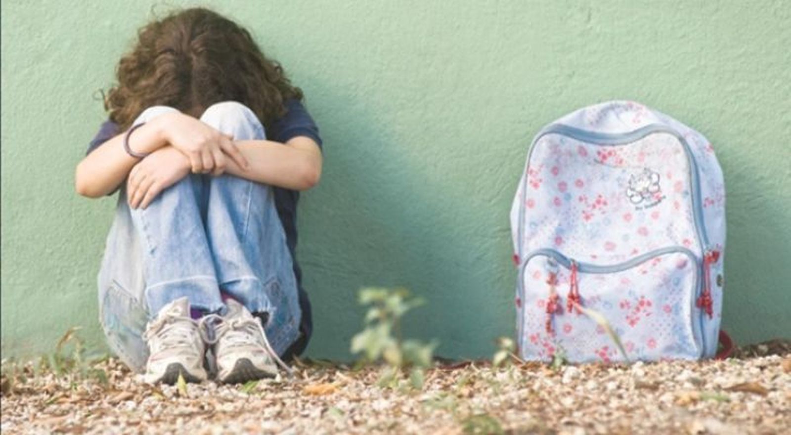 Zamora cerró el curso 2013-14 sin casos confirmados de acoso escolar