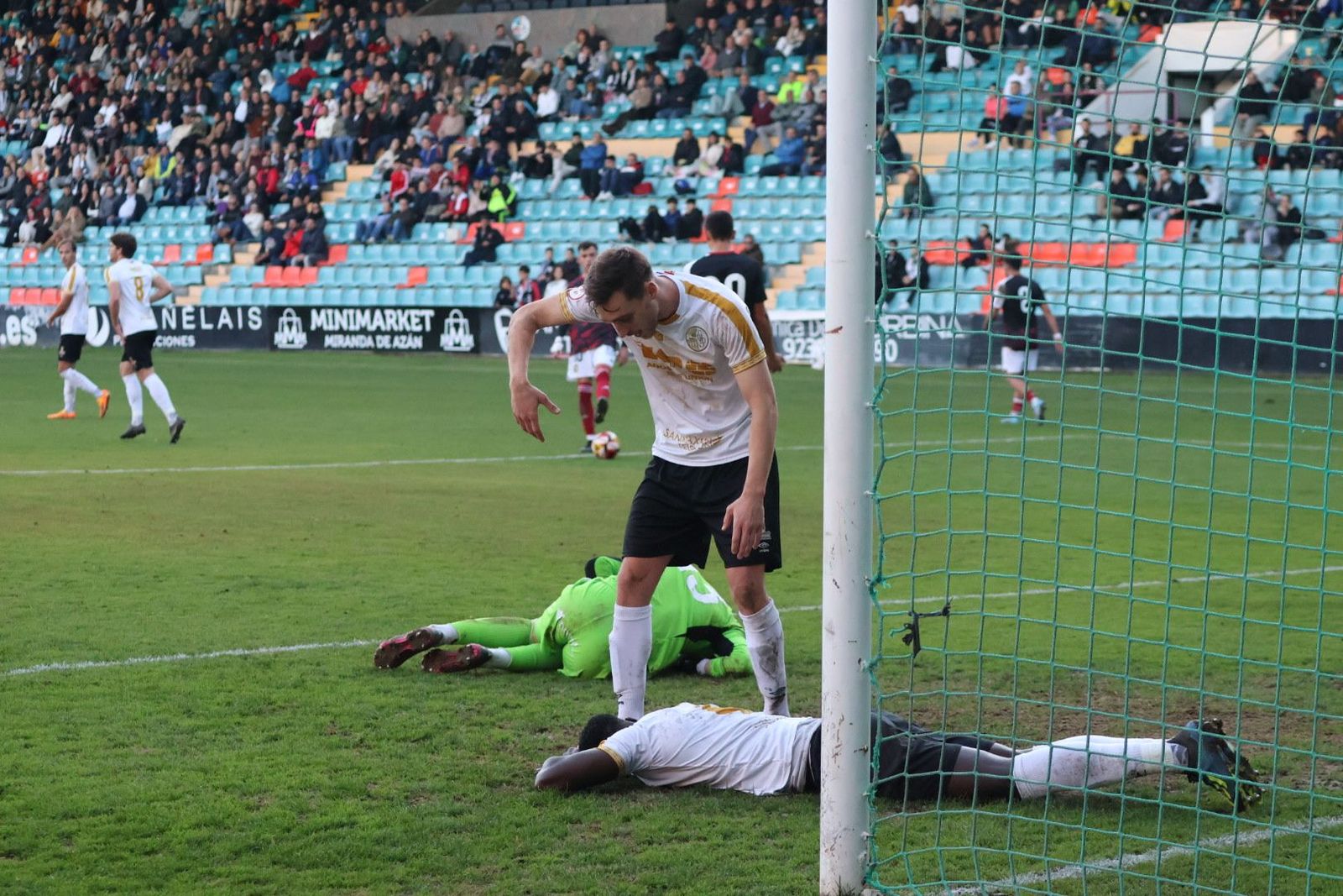 20231119174244-img-1770