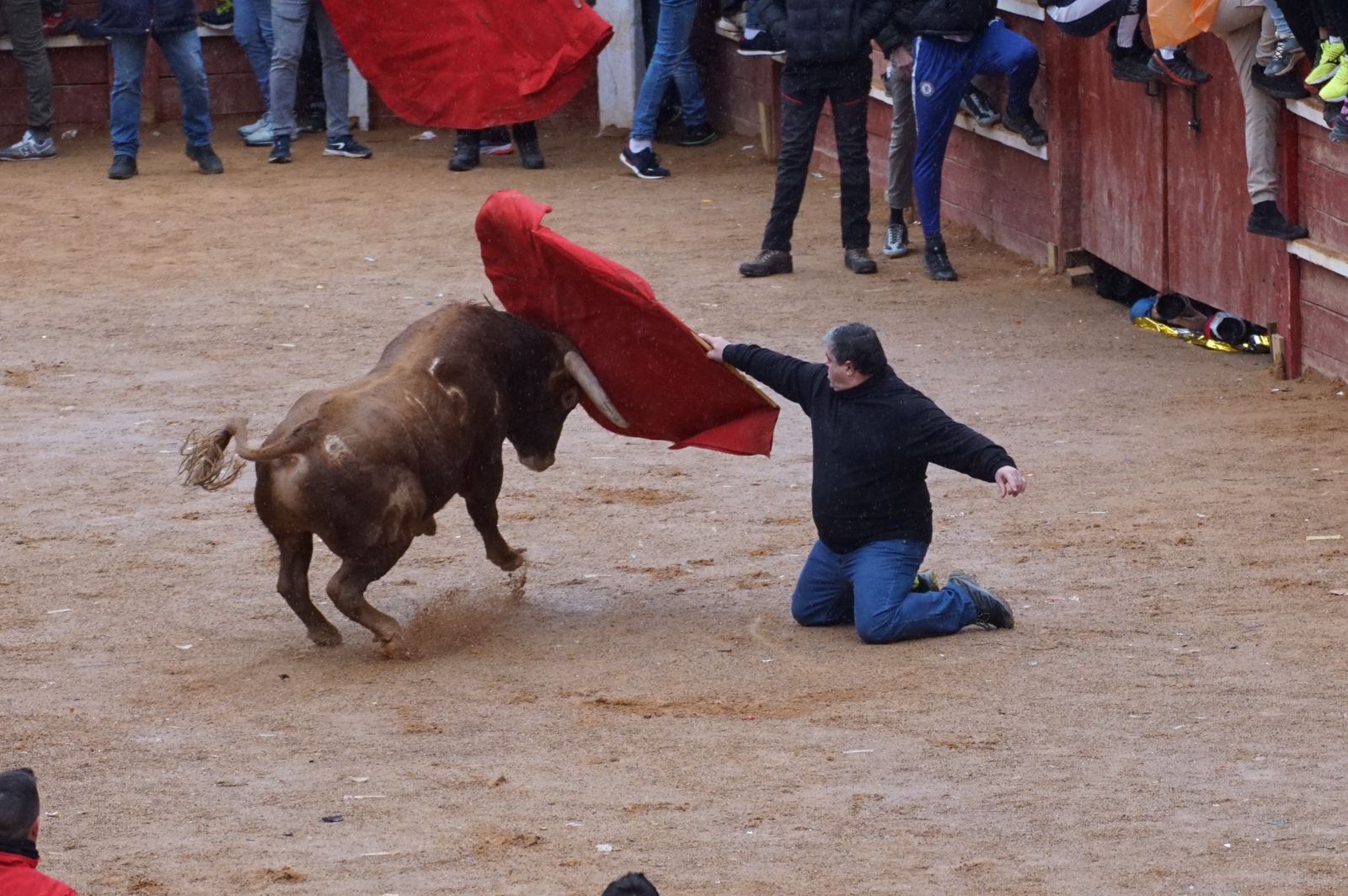 whatsapp-image-2024-02-11-at-14-02-46-2