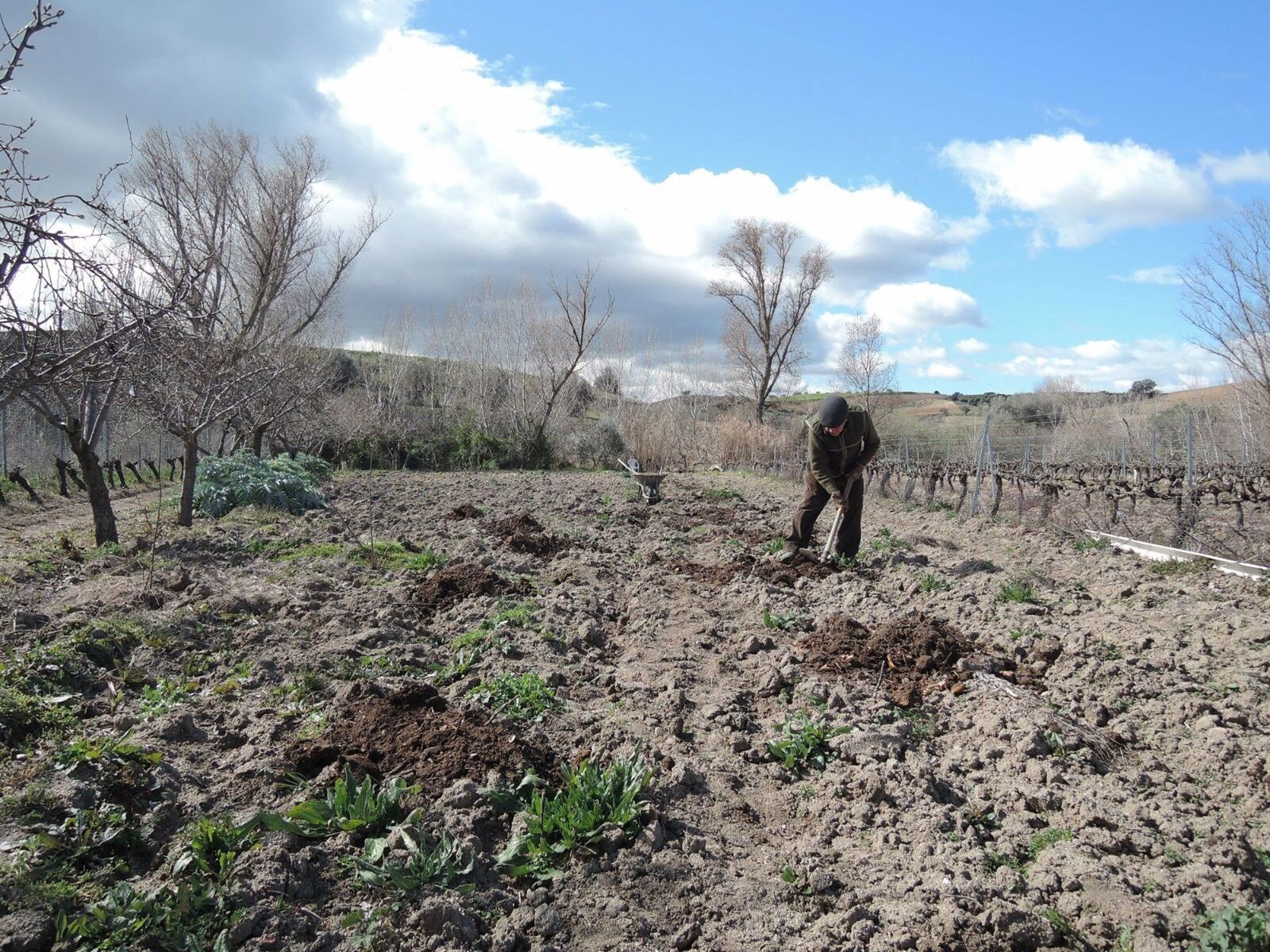 Agricultor en el campo. Foto EP