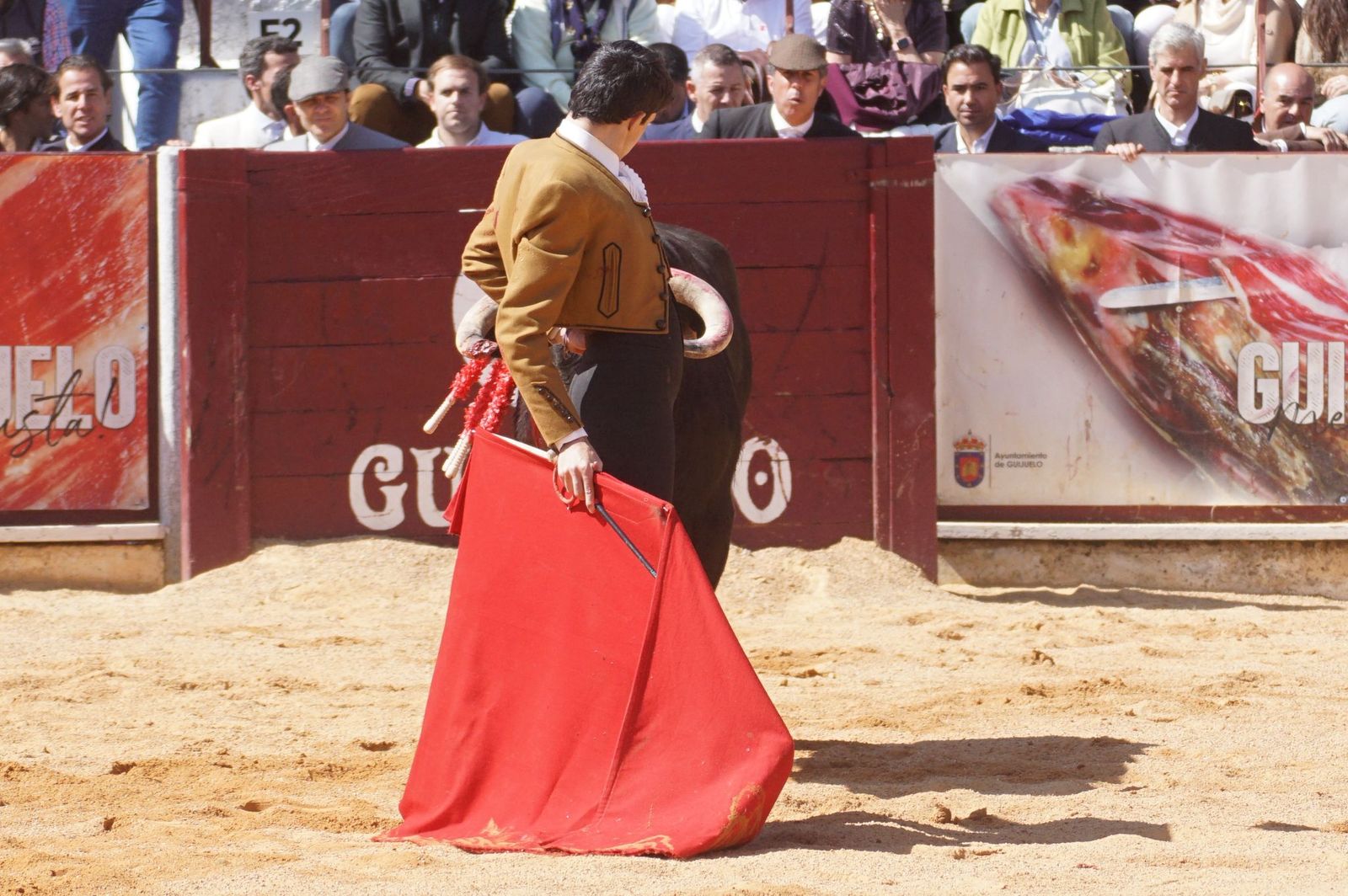 Festival taurino solidario por la esclerosis múltiple en Guijuelo