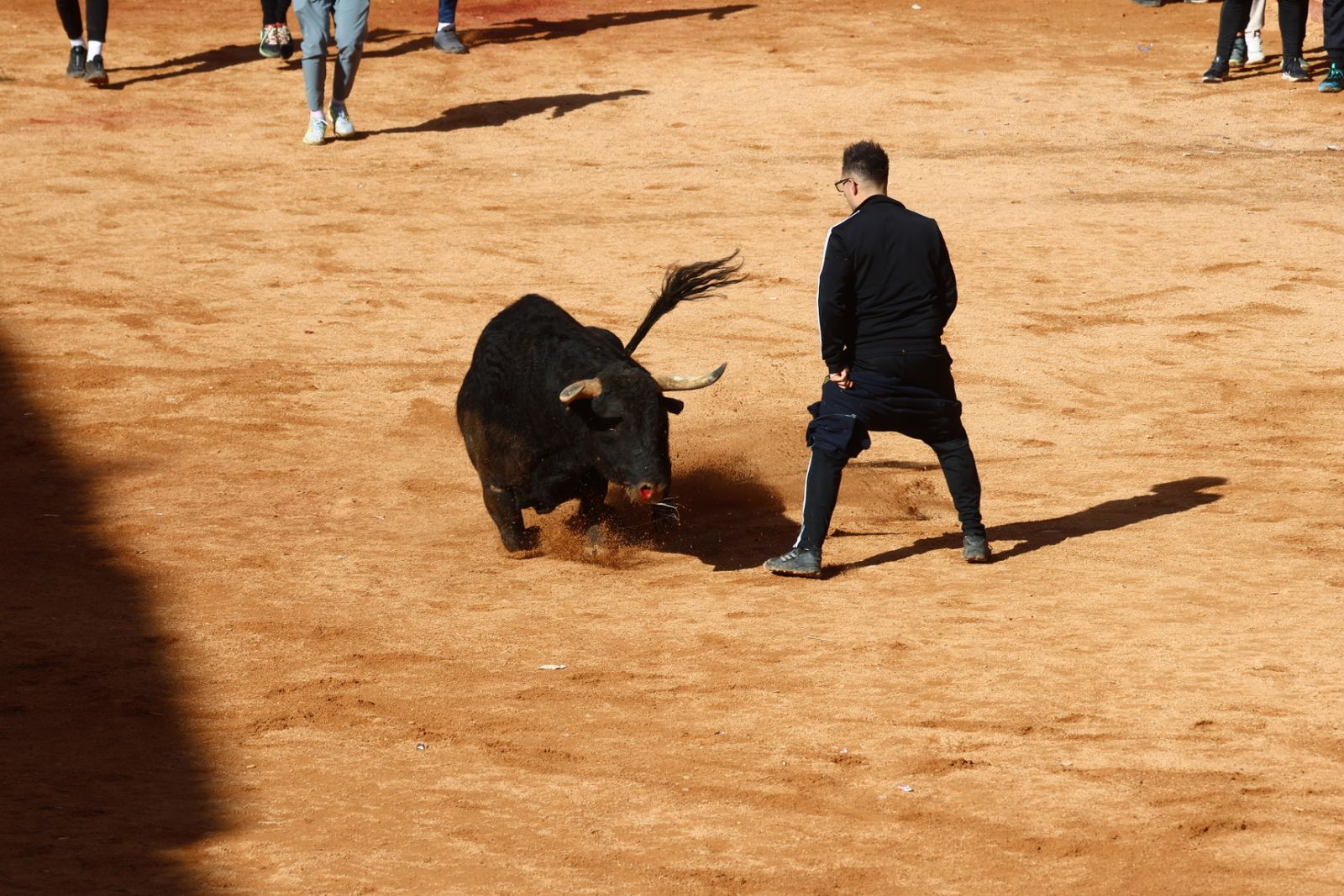 Capea de mañana en el martes del Carnaval del Toro de Ciudad Rodrigo