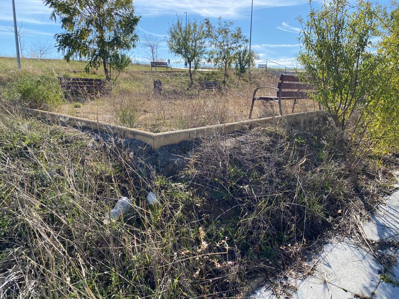 Parque Chamberí Los Alcaldes. Foto: GMS