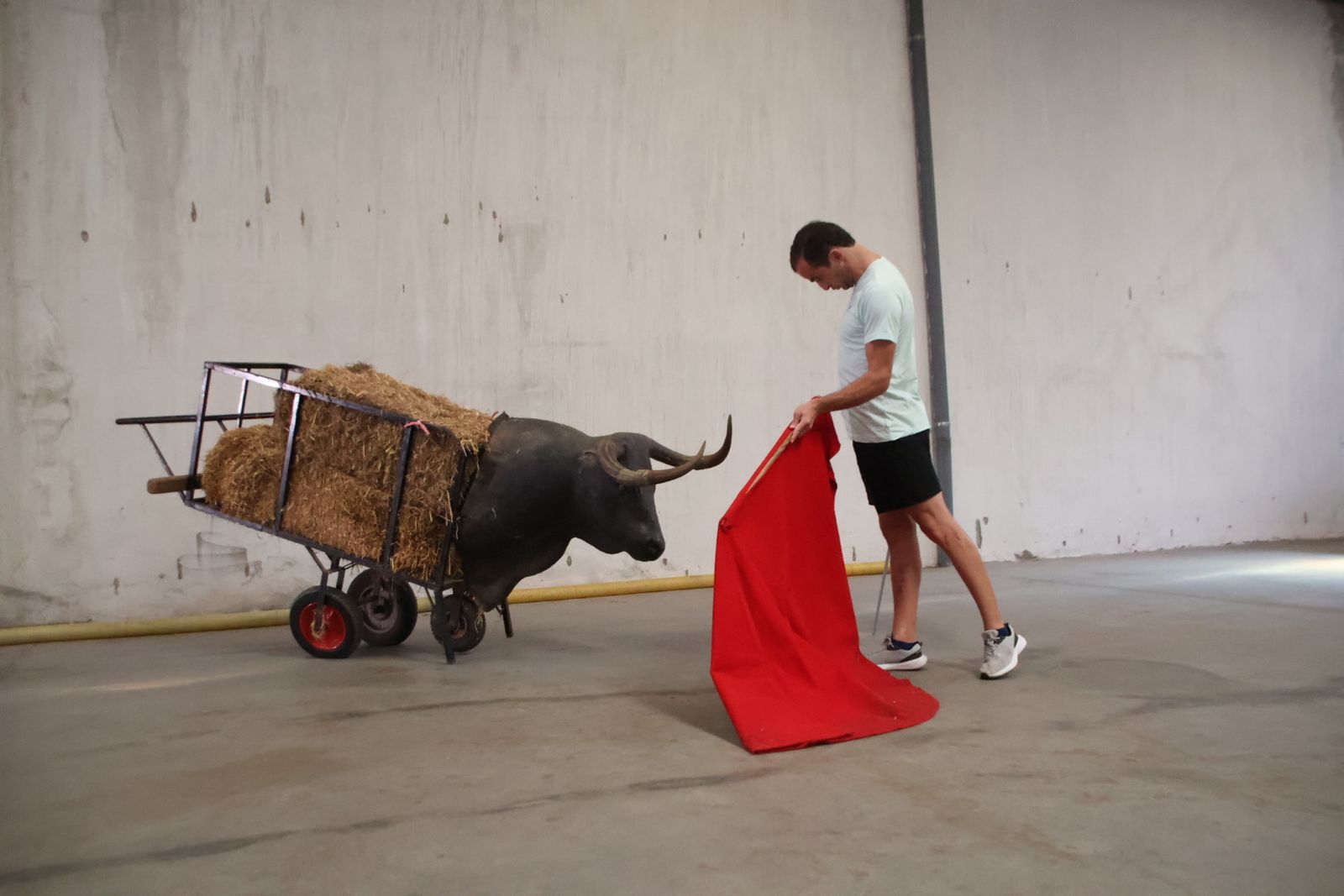 Entrevista con Damián Castaño por la feria de Salamanca