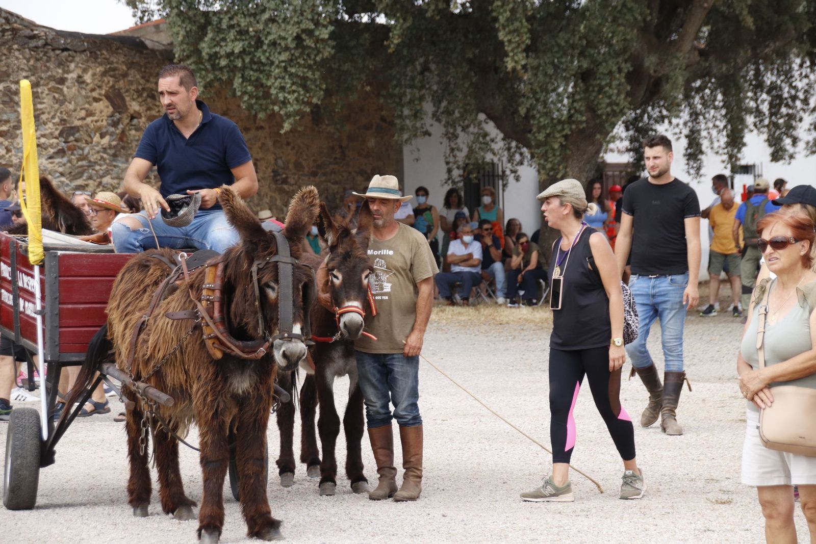 20220618110858-mg-4812