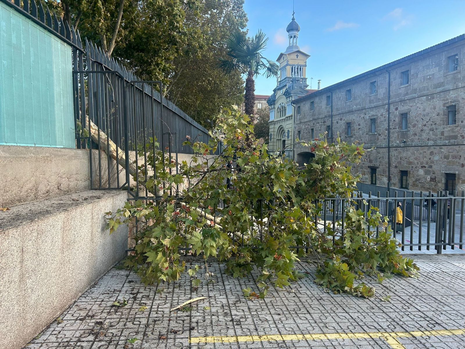 Imagen de archivo de un árbol tirado por el temporal en Salamanca