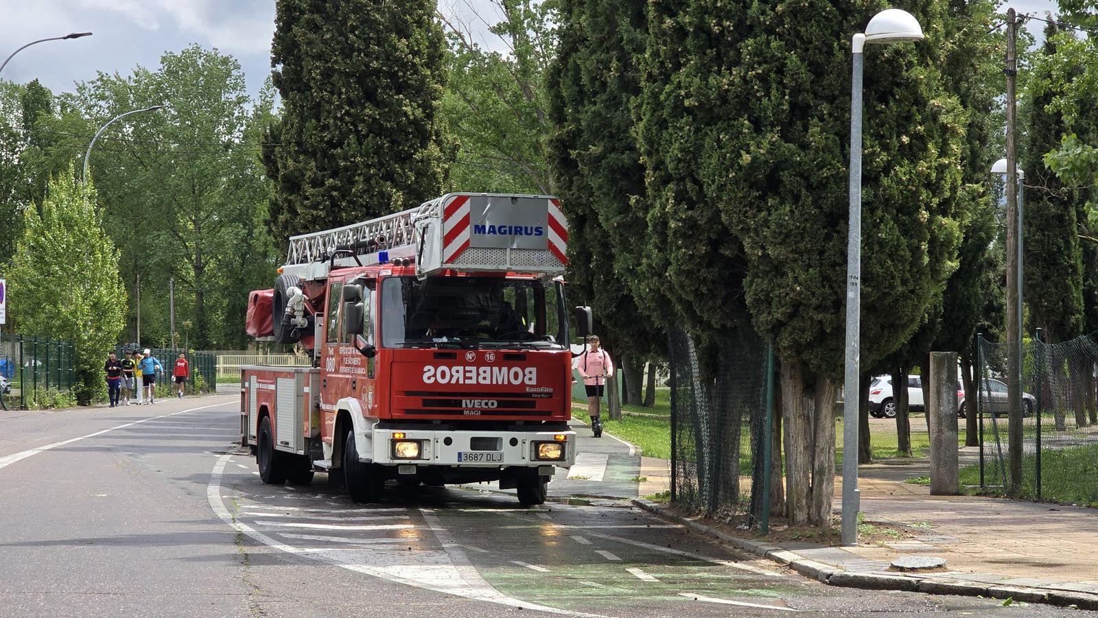 cae-un-arbol-de-granes-dimensiones-en-la-ribera-del-aldehuela-junto-a-la-zona-de-chiringuitos-fotos-andrea-m-4