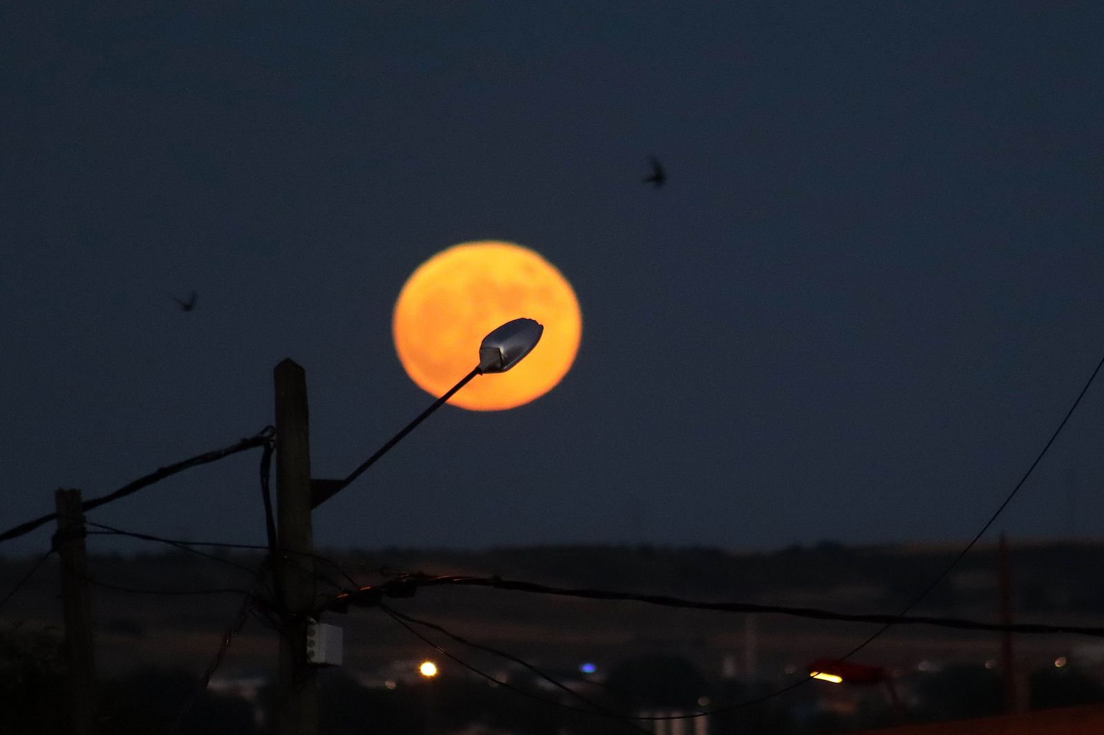 Luna